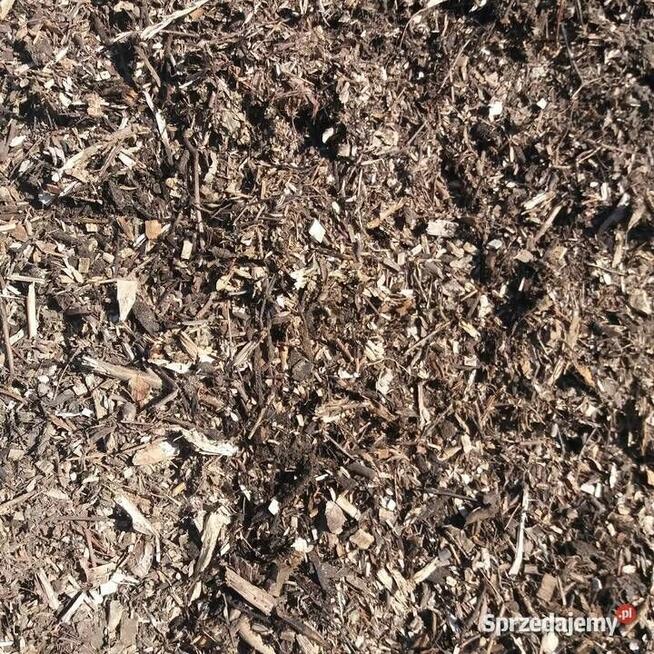 Zrębki drzew drobne- mieszane 0-63