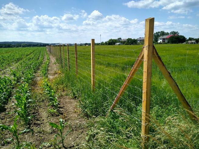 Działki budowlane Krzywa gm. Chojnów