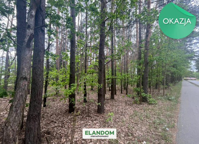 Atrakcyjna działka budowlana Dziechciniec