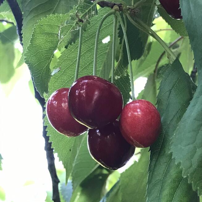 Sorry nie takie Love Story a ;-)