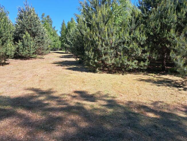 Sprzedam działkę 1,08ha