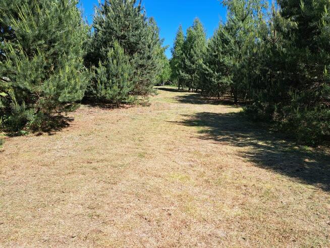 Sprzedam działkę 1,08ha