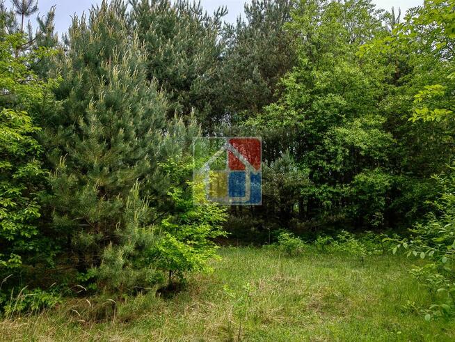 Działka budowlana 4 km od Gostynina