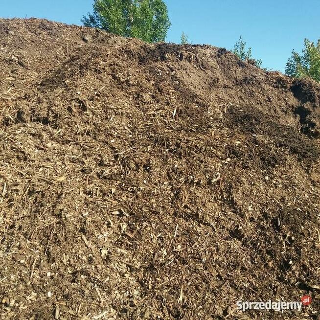 Zrębki drzew drobne- mieszane 0-63