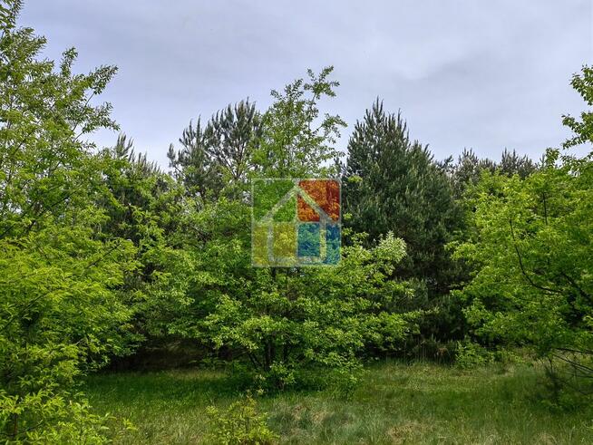Działka budowlana 4 km od Gostynina