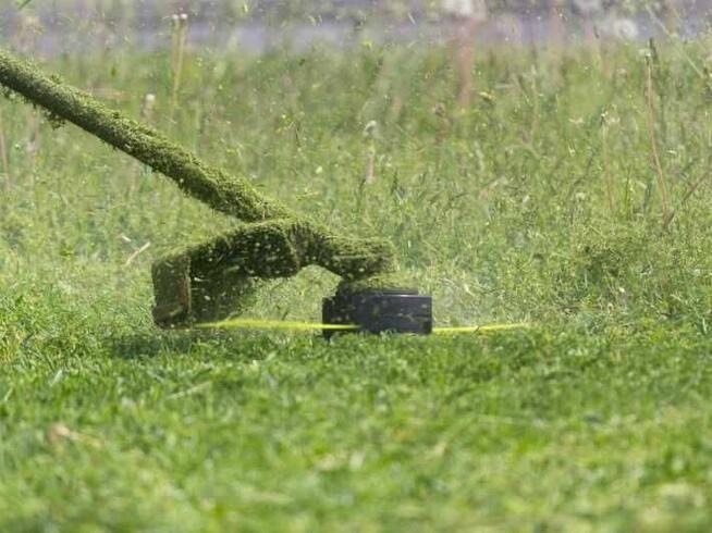 Koszenie Trawy Nieużytków Ogrodów Wycinka Drzewek