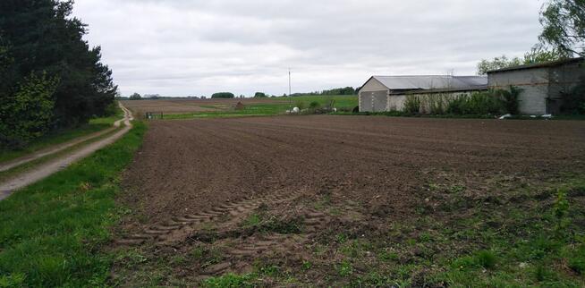 Działka budowlana Jędrzejów Nowy 4000m