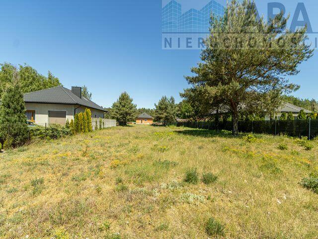 Działka budowlana przy lesie - Janowice gm. Stare Miasto