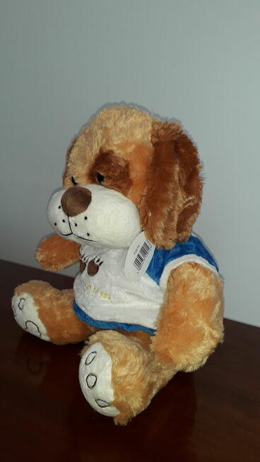 PLUSZOWY PIESEK w koszulce