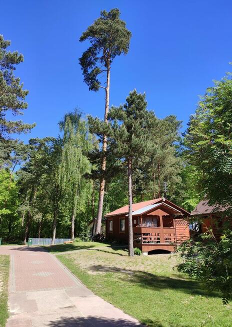 Domki letniskowe nad morzem Stegna