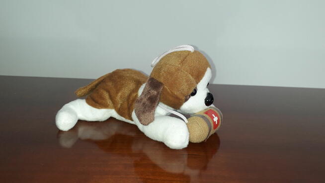 PLUSZOWY piesek bernardyn z głosem