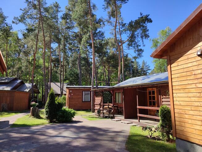 Domki letniskowe nad morzem Stegna