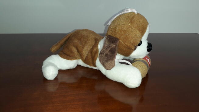 PLUSZOWY piesek bernardyn z głosem