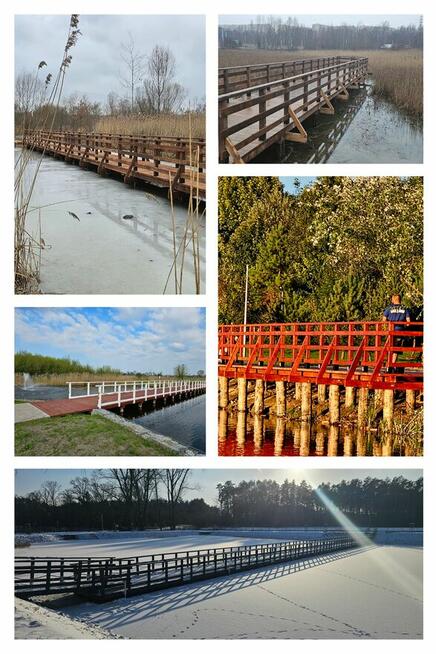 Pomost drewniany stały na palach wbijanie bicie pali