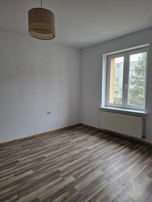 Mam do wynajęcia