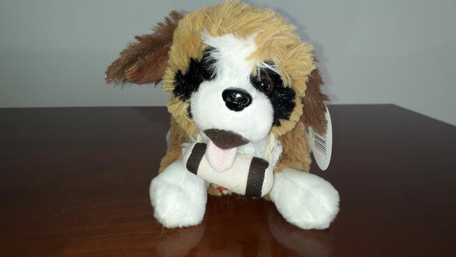 PIES bernardyn z głosem