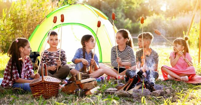 KIEROWNIK WYPOCZYNKU I WYCHOWAWCY - kolonie dla dzieci 2026