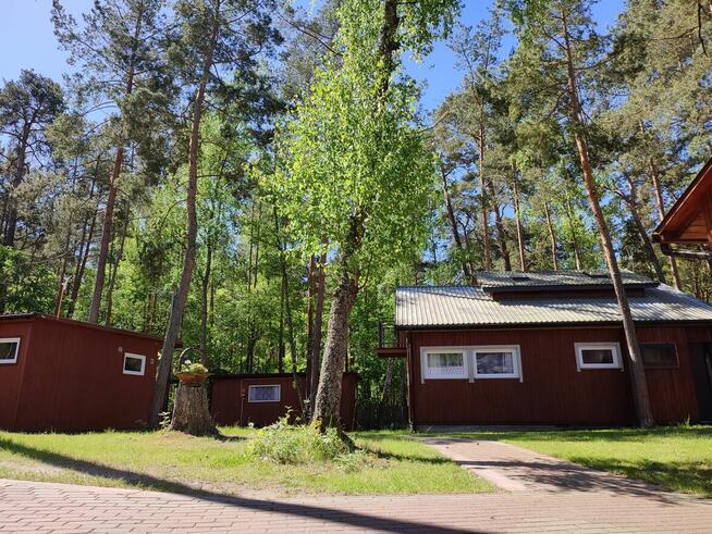 Domki letniskowe nad morzem Stegna