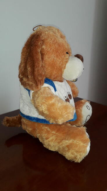 PLUSZOWY PIESEK w koszulce