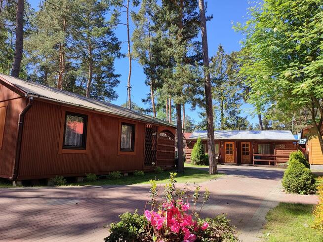 Domki letniskowe nad morzem Stegna