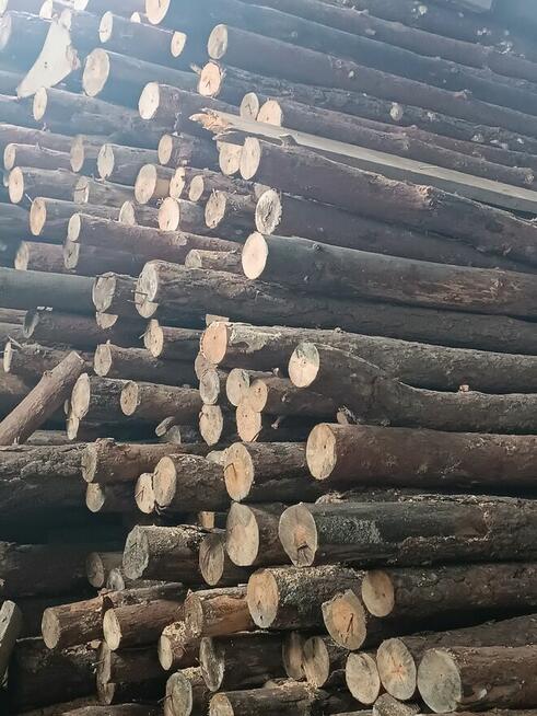 Sprzedam stęple budowlane