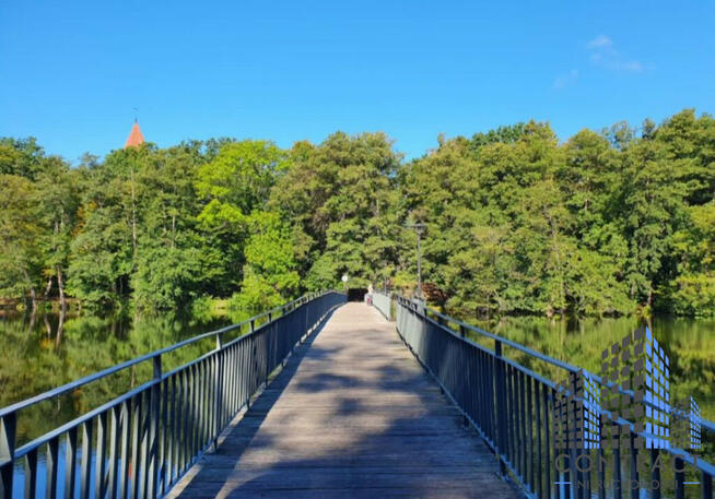 Działka budowlana Lubniewice,
