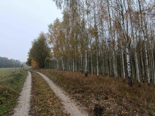 Sprzedam drewno opałowe brzoza, olcha