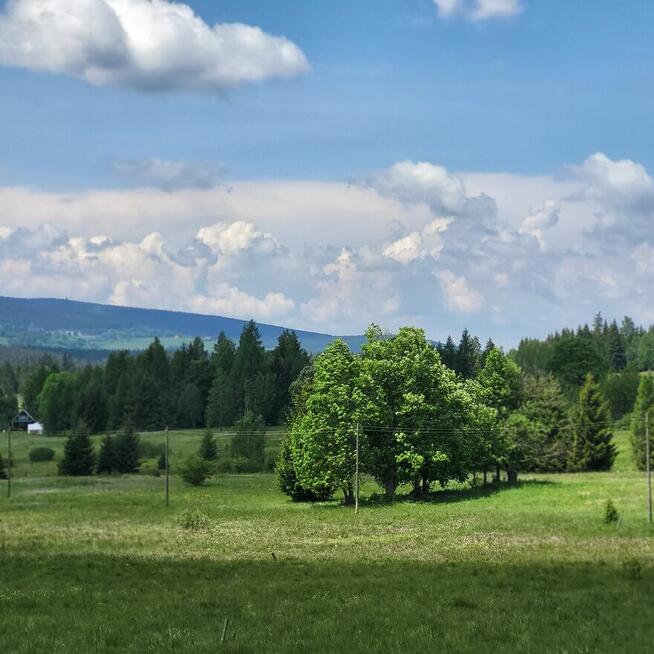 Dzika Konwalia - Noclegi w Górach Lasówka, Polanica, Kudowa