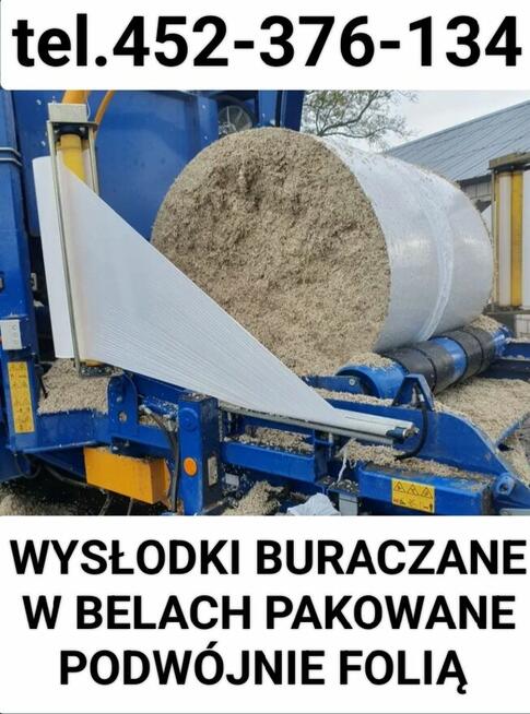 Wysłodki buraczane w balotach