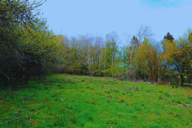 Malownicza Działka w Kolbudach – 3104 m2