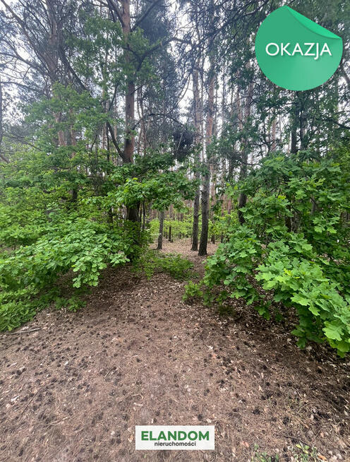 Atrakcyjna działka budowlana Dziechciniec