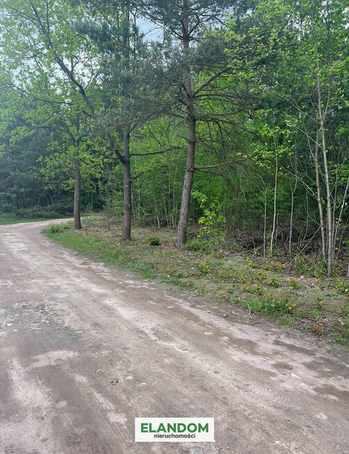 Atrakcyjna działka budowlana Dziechciniec