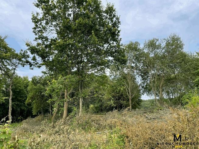 Działka budowlana Kołomąt gm. Czaplinek