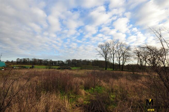 Działka Sarbia gm. Kołobrzeg