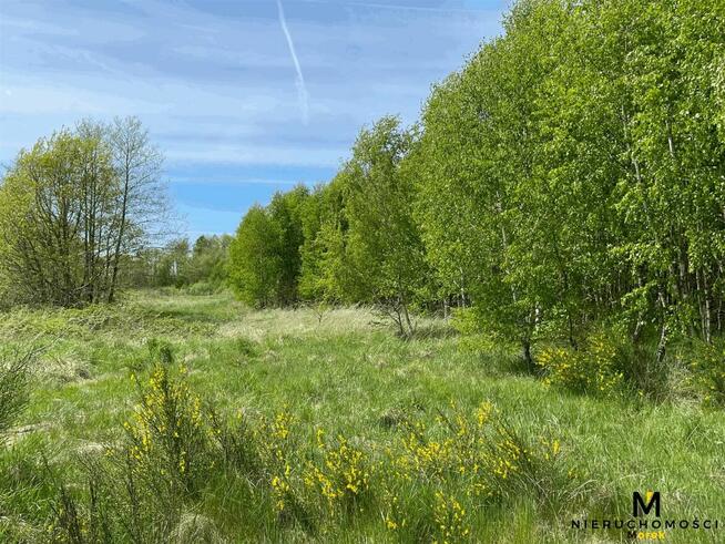 Działka Ołużna gm. Gościno
