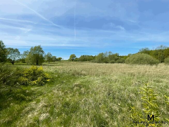 Działka Ołużna gm. Gościno