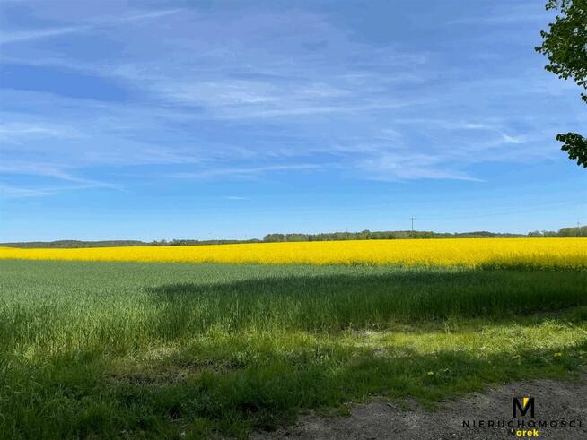 Działka Ołużna gm. Gościno