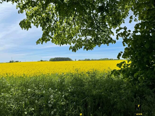 Działka Ołużna gm. Gościno