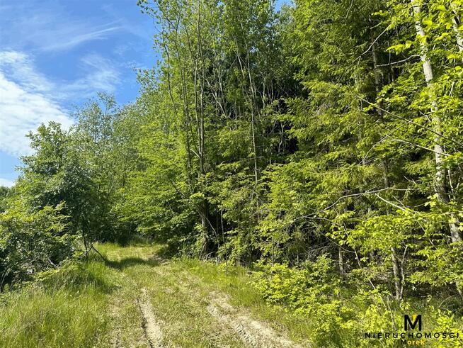 Działka rolna Sianożęty gm. Ustronie Morskie Kukinka