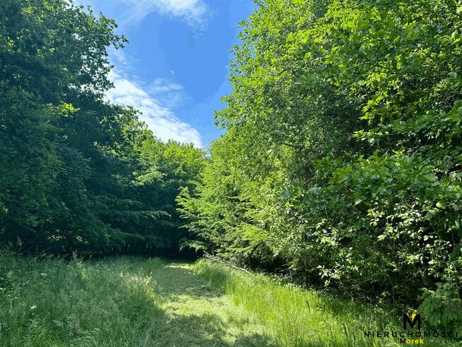 Działka rolna Sianożęty gm. Ustronie Morskie Kukinka