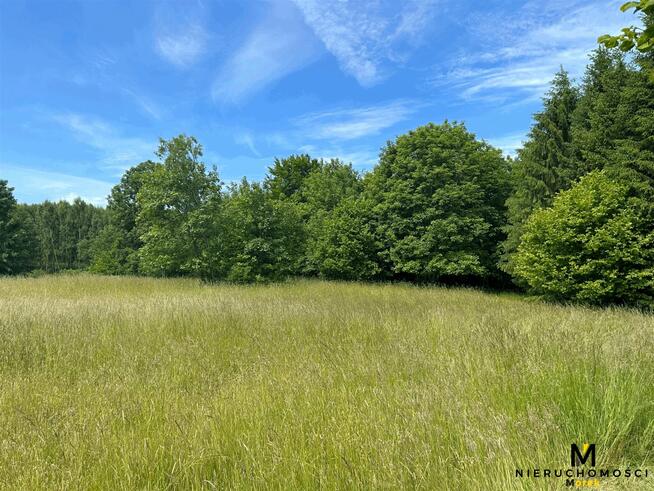 Działka rolna Sianożęty gm. Ustronie Morskie Kukinka
