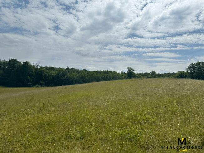 Działka rolna Sianożęty gm. Ustronie Morskie Kukinka