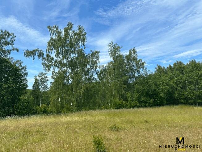 Działka rolna Sianożęty gm. Ustronie Morskie Kukinka