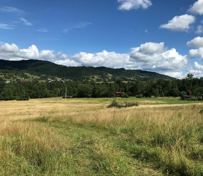 Działka rolna Pewel Wielka gm. Jeleśnia,