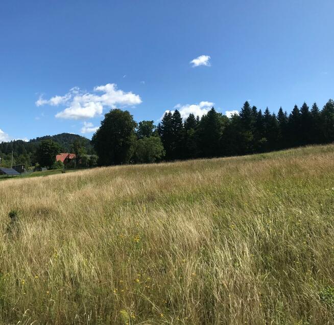 Działka rolna Pewel Wielka gm. Jeleśnia,