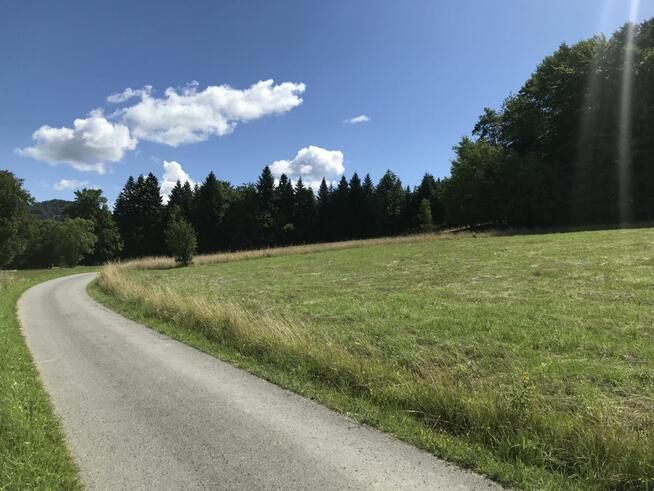 Działka rolna Pewel Wielka gm. Jeleśnia,