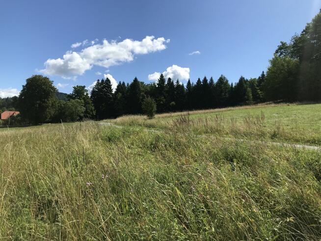 Działka rolna Pewel Wielka gm. Jeleśnia,