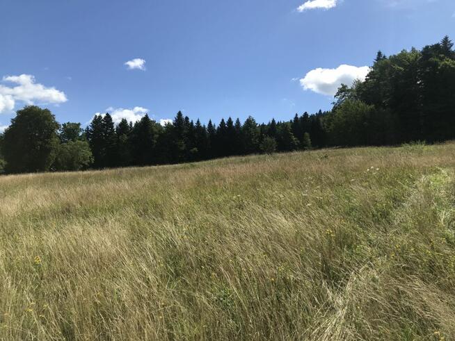 Działka rolna Pewel Wielka gm. Jeleśnia,