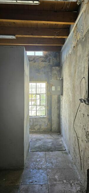 Rynek/Serce Namysłowa / Lokale / INWESTYCJA (Namysłów)