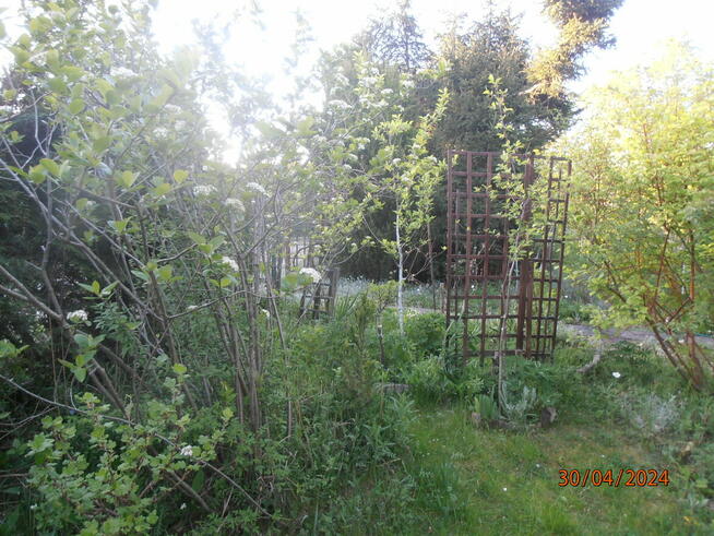 Sprzedam działkę rekreacyjną - ogrodzona na Retkini